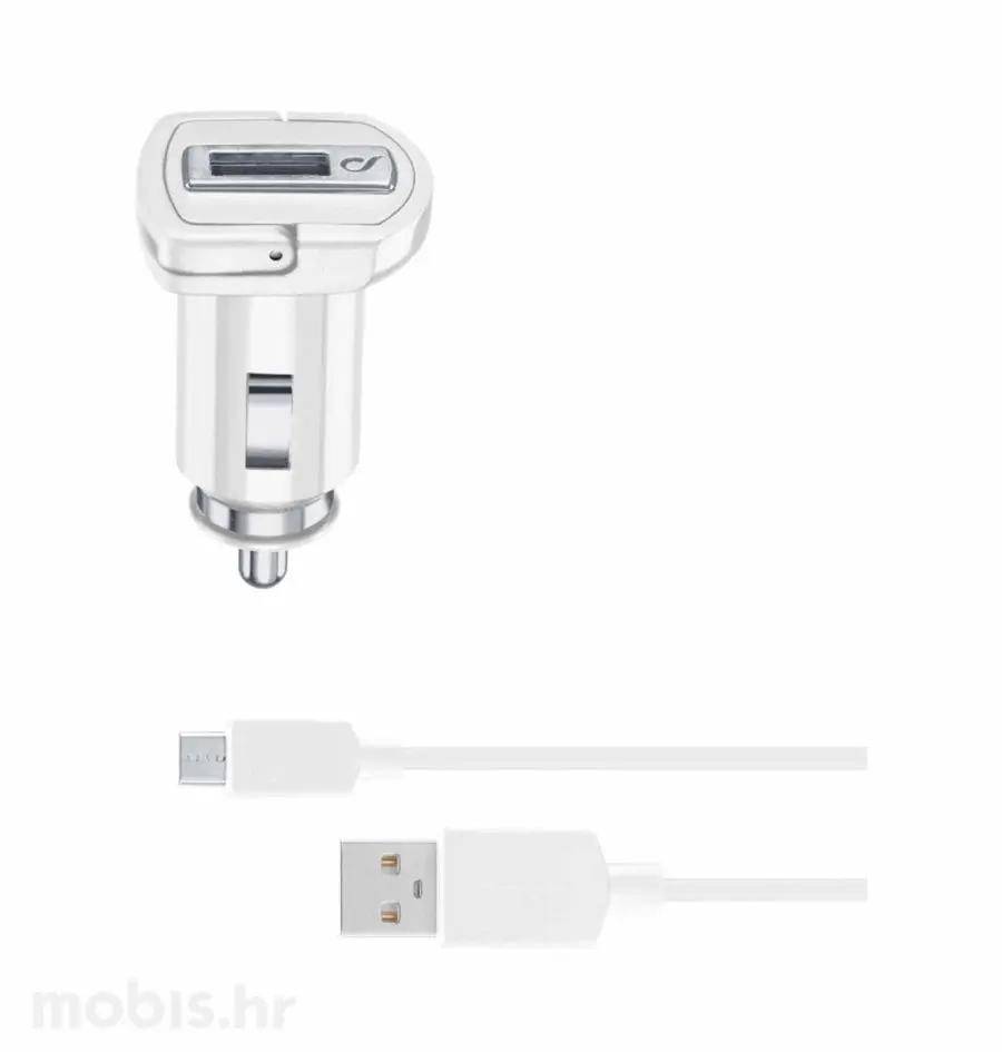 CL. AUTO PUNJAČ SAMSUNG I MICROUSB 2A/10W-0