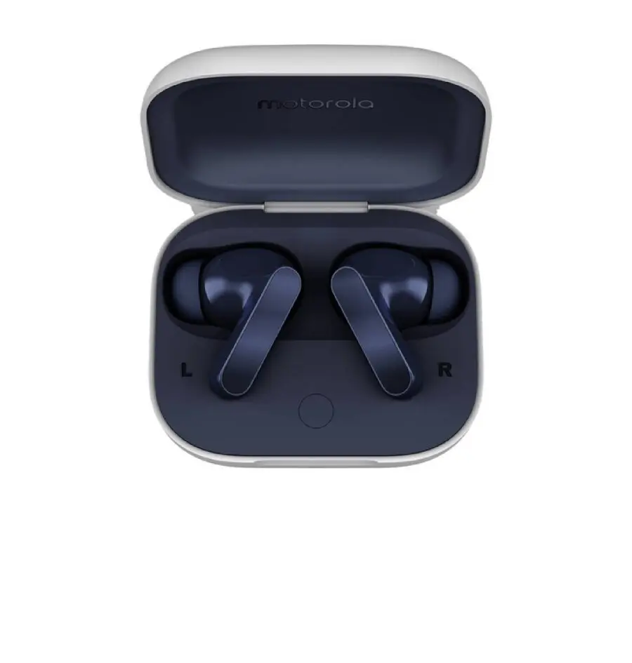 MOTOROLA MOTO BUDS BLUEBERRY (BOJA BOROVNICE)-0