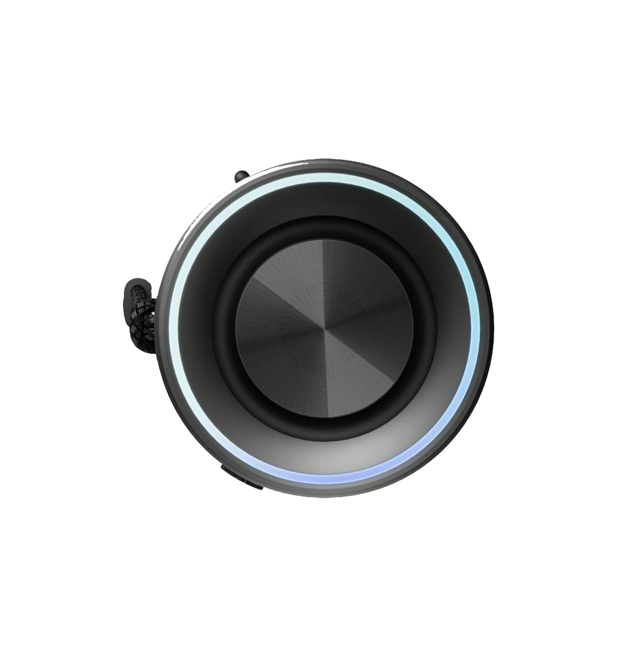 Honor Choice Speaker Pro crna, zvučnik-2