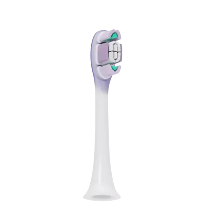 Električna četkica za zube Xiaomi Oscillation Electric Toothbrush Pro, ljubičasta-4