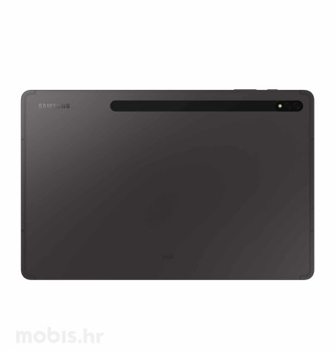 Samsung Galaxy Tab S8 5G: sivi