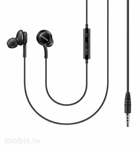 Samsung slušalice In-Ear AUX: crne