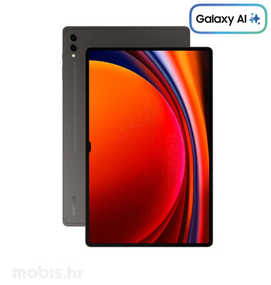  Samsung Galaxy Tab S9 Ultra 5G WiFi 12/256GB: sivi