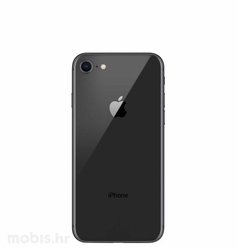 Apple iPhone 8 256 GB: sivi