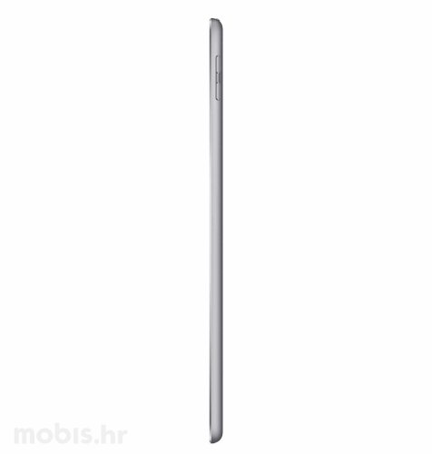 Apple iPad (2017) 32GB LTE: sivi