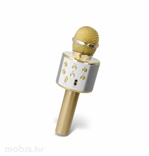 Forever bežični mikrofon sa zvučnikom (BMS-300): zlatni